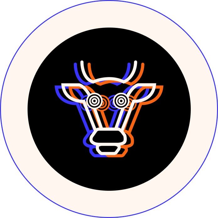 Partner 7